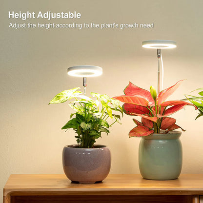 Phyto Grow Lamp USB for Indoor Plants