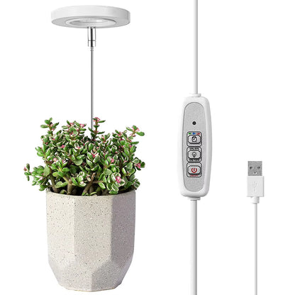 Phyto Grow Lamp USB for Indoor Plants