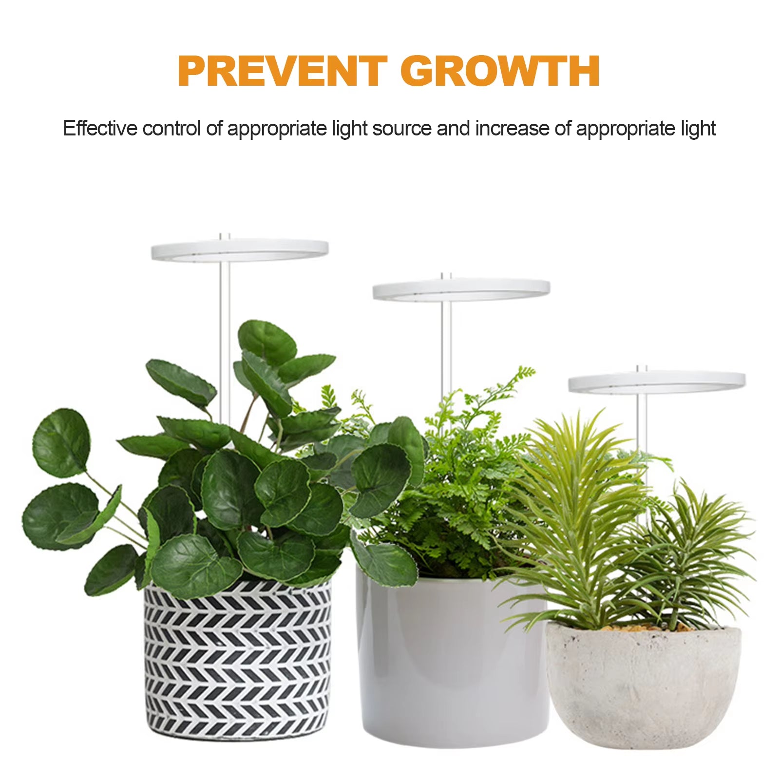 Phyto Grow Lamp USB for Indoor Plants