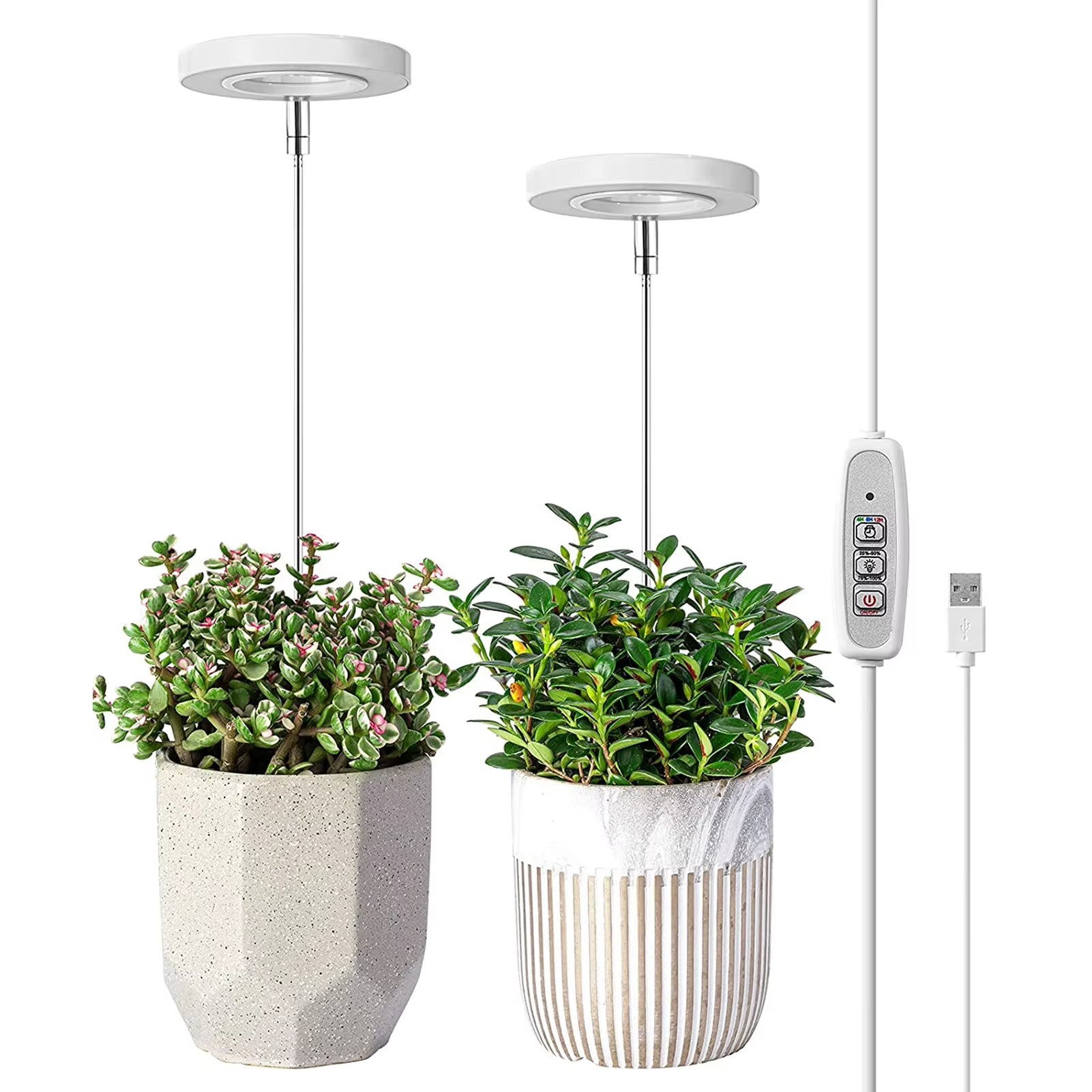 Phyto Grow Lamp USB for Indoor Plants